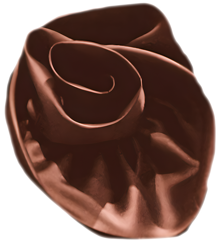 rosette icon from lalla bee's dress